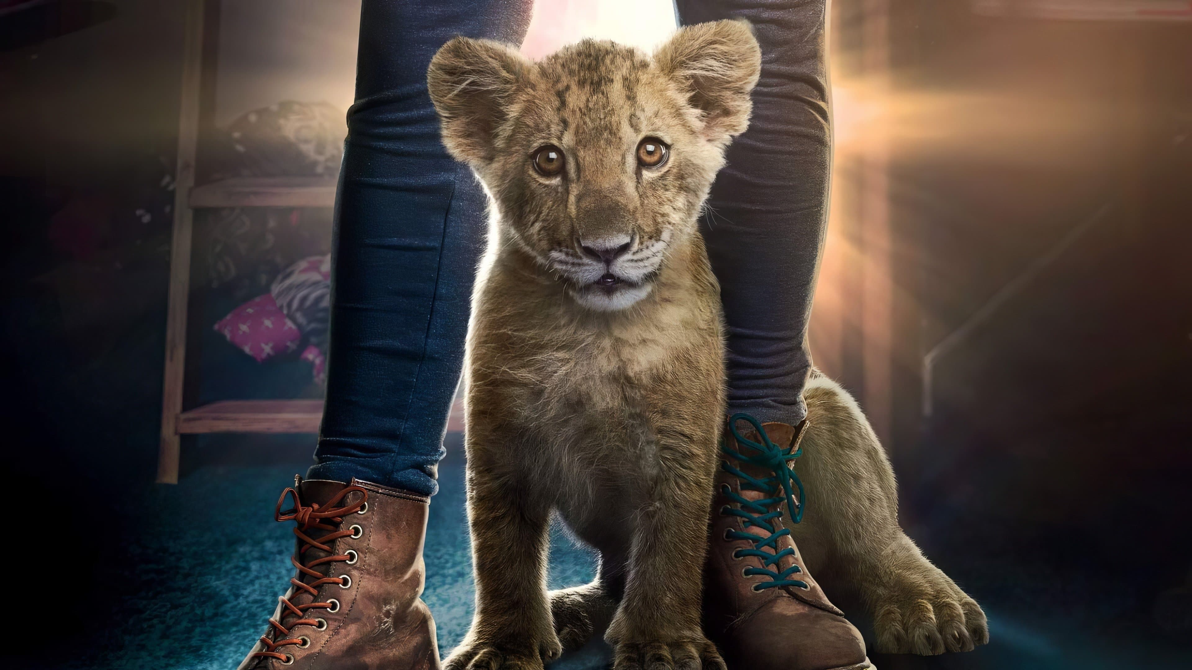 King (2022) - David Moreau Film News & Updates