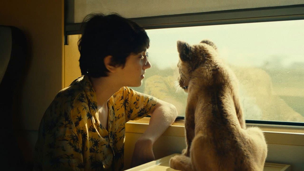 King (2022) - David Moreau Film News & Updates still 8