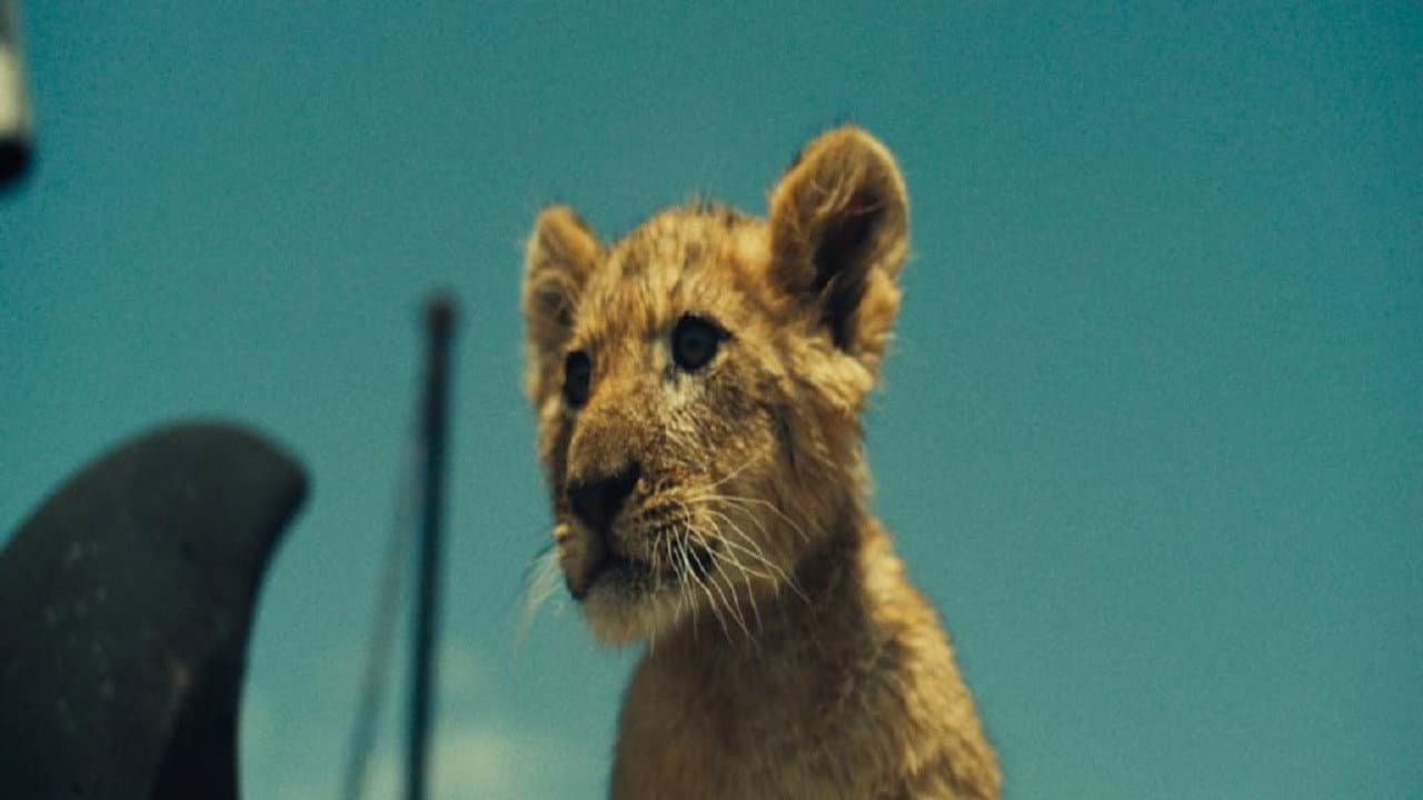 King (2022) - David Moreau Film News & Updates still 5