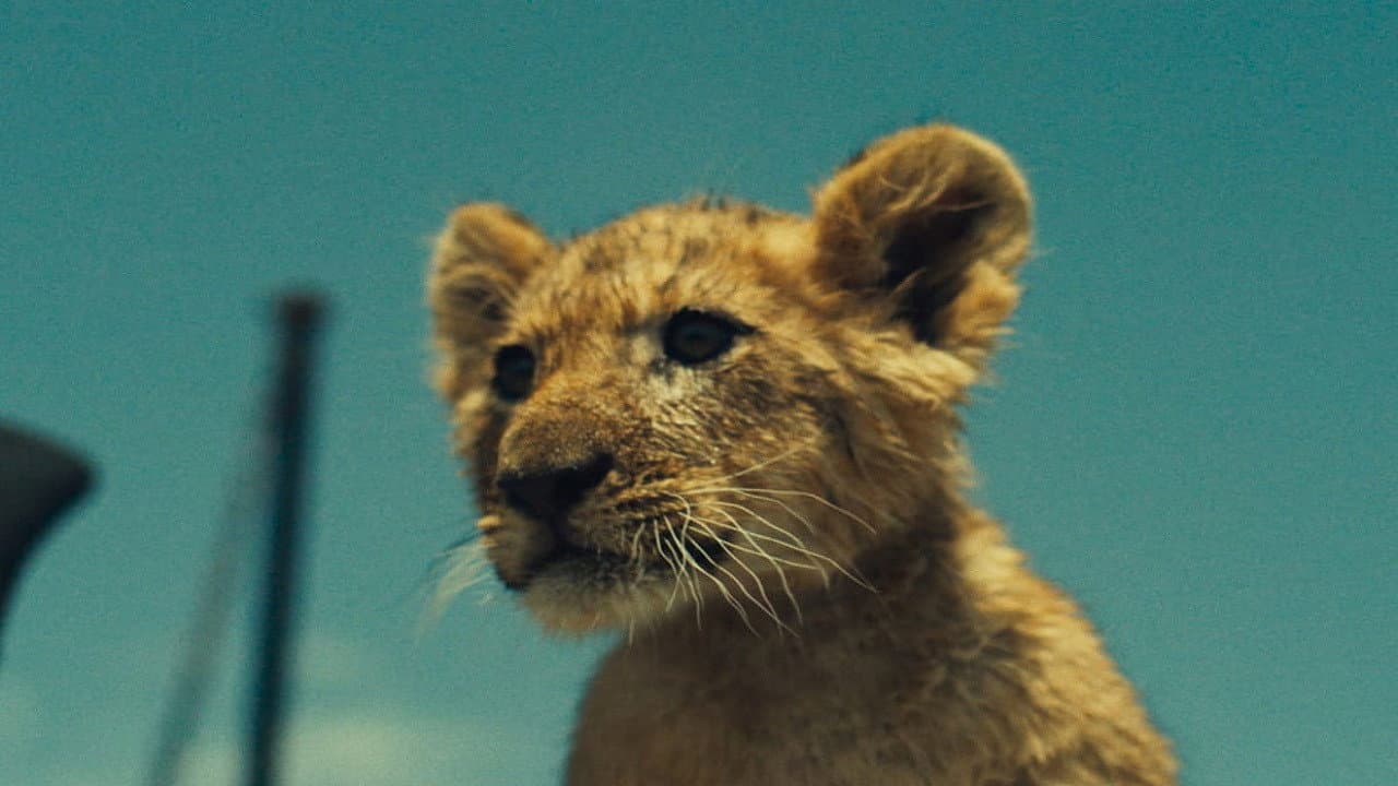 King (2022) - David Moreau Film News & Updates still 6