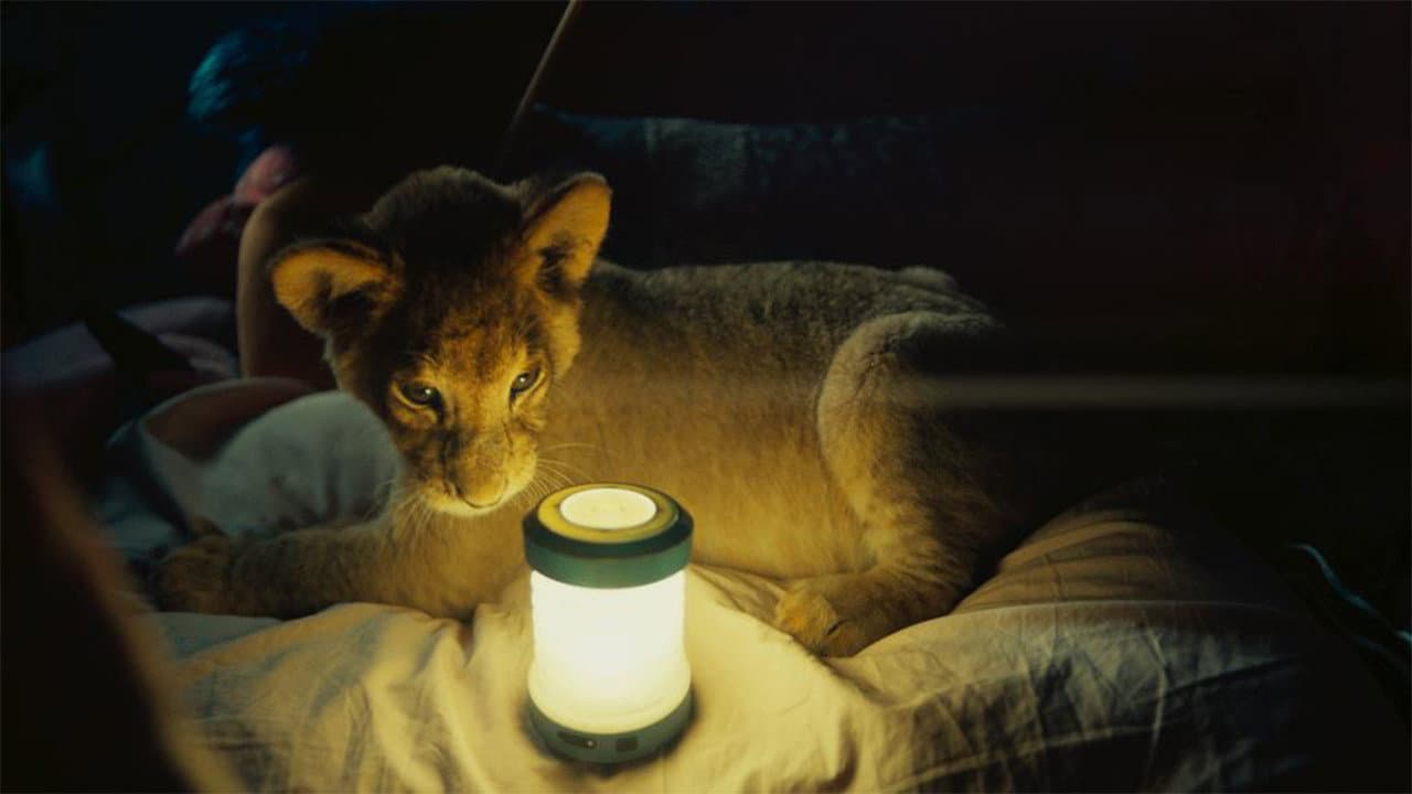 King (2022) - David Moreau Film News & Updates still 7