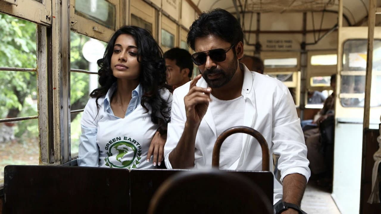 Panjaa (2011) Movie News: Telugu Action Drama Updates still 5